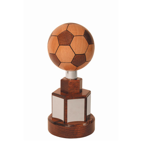 Championship Football Trophy